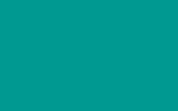 Werbeagentur Paderborn dark green
